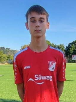 Avatar Bild für Stipe Drmic