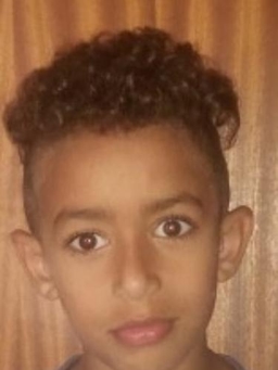 Avatar Bild für Alexander Asrat