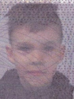 Avatar Bild für Volodymyr Muratov