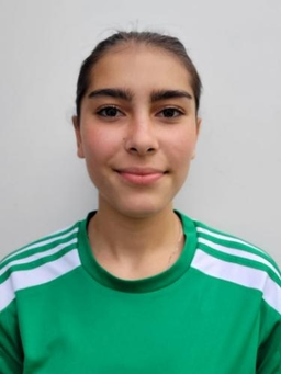 Avatar Bild für Tarlan Sourati