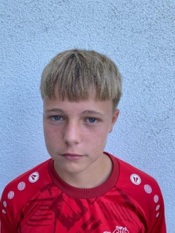 Avatar Bild für Niclas Schmid