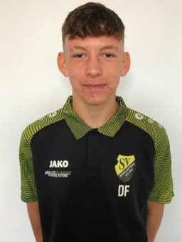 Avatar Bild für Domenik Fetzer