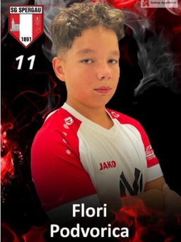 Avatar Bild für Flori Podvorica