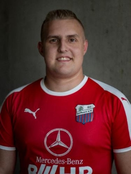 Avatar Bild für Dominik Wijngaards