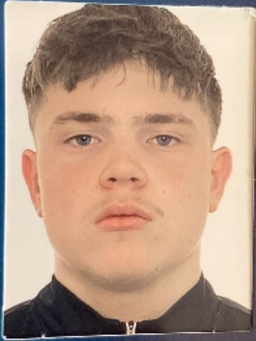 Avatar Bild für Felix Reder