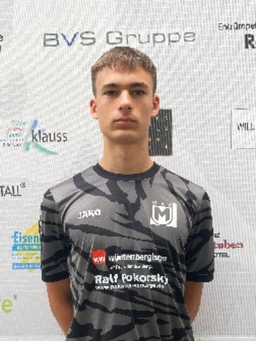 Avatar Bild für Roko Ljubicic