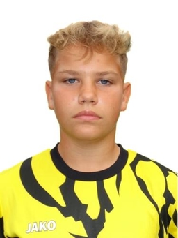 Avatar Bild für Wiktor Aleksander Strzebonski
