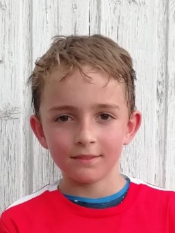 Avatar Bild für David Sieger