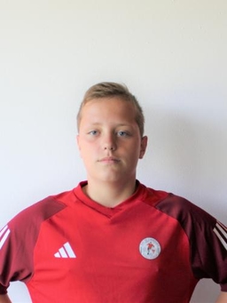 Avatar Bild für Luis Uhler