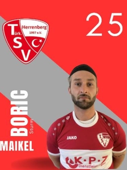 Avatar Bild für Maikel Boric