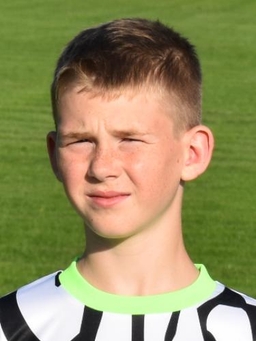 Avatar Bild für Tom Wilsky