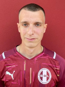 Avatar Bild für Nemanja Dobrilovic