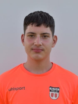 Avatar Bild für Dario Samuel Calabrese