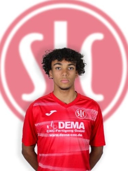 Avatar Bild für Vincent Luca Morgan