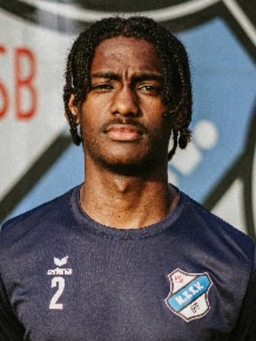 Avatar Bild für Leandro Mendes Tavares