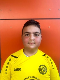 Avatar Bild für Albert Armenovic Alekian