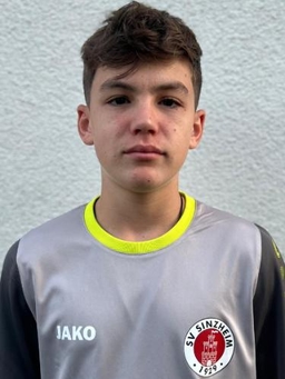 Avatar Bild für Ilija-Nikos Mitrovic