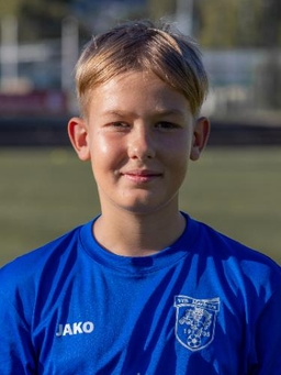 Avatar Bild für Danylo Hrytsai