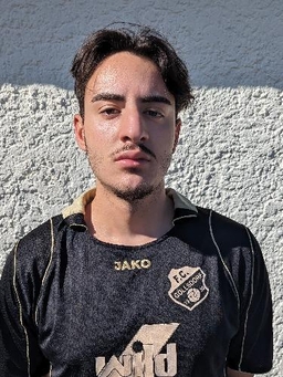 Avatar Bild für Victor Raúl Peluso