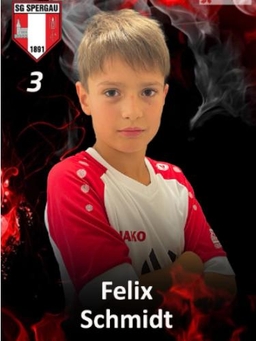 Avatar Bild für Felix Schmidt