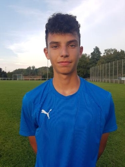 Avatar Bild für David Ielo