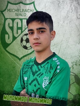 Avatar Bild für Mohammad Mohammadi