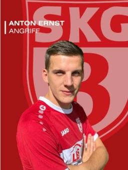 Avatar Bild für Anton Ernst