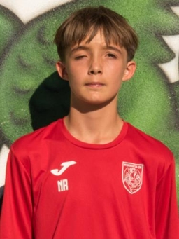 Avatar Bild für Nicolai Köhler