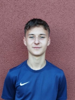 Avatar Bild für Dario Kinert