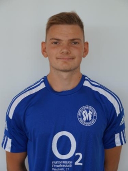 Avatar Bild für Gabrijel Celan