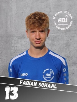Avatar Bild für Fabian Schaal
