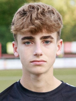 Avatar Bild für Theo Seifert