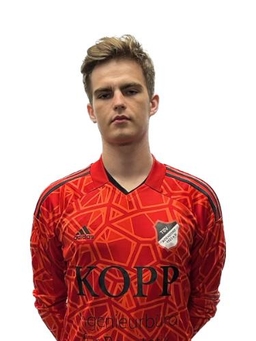 Avatar Bild für Roman Saizew