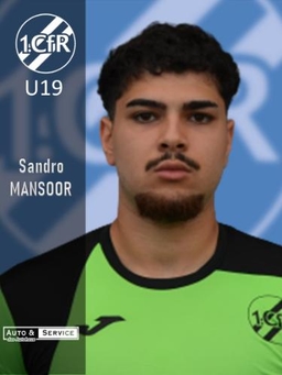 Avatar Bild für Sandro Mansoor