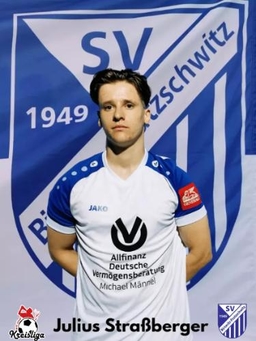 Avatar Bild für Julius Straßberger