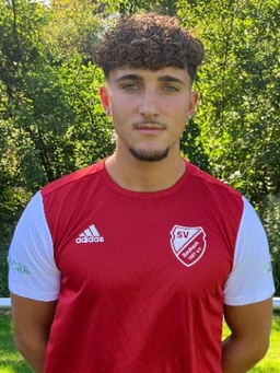 Avatar Bild für Denis Mekaj