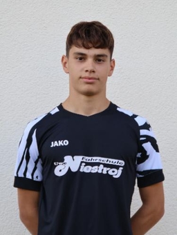 Avatar Bild für Sandro Mendolia