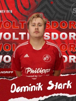 Avatar Bild für Dominik Stark