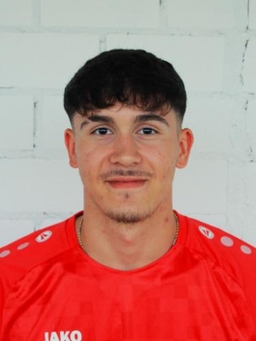 Avatar Bild für Luigi-Fabian Vadeanu