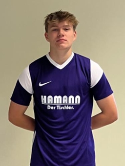 Avatar Bild für Henri Emil Driesen