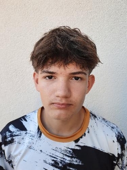 Avatar Bild für Sinan Benjamin Suljic