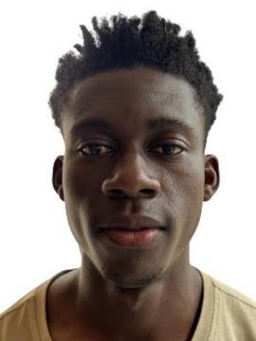 Avatar Bild für Jean Aristide Ozoukou