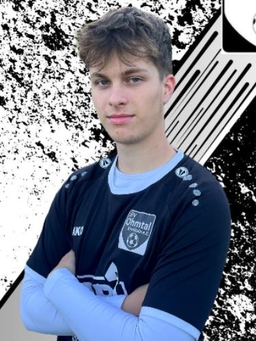 Avatar Bild für Luis Michel