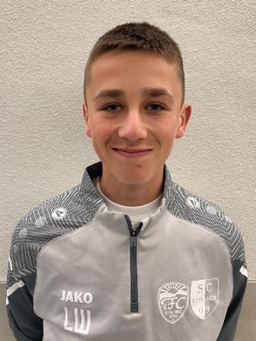 Avatar Bild für Luis Wohlfarth