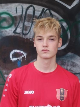 Avatar Bild für Karl Stiewe