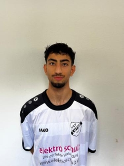 Avatar Bild für Alireza Ghulami