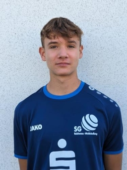 Avatar Bild für Lukas Schweitzer