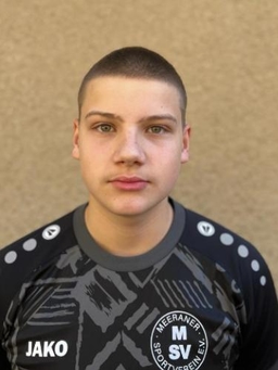 Avatar Bild für Henry Luca Gröger