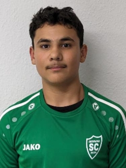 Avatar Bild für Gabriele Cobzari