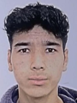 Avatar Bild für Zubair Didari